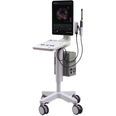 BK Ultrasound Flex Focus 800