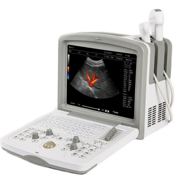 Acuvista RS880d 12"