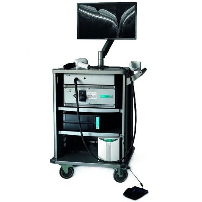 Bioptigen Envisu C2300