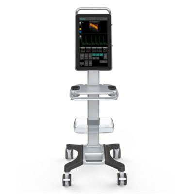 Ricso Technology Р6