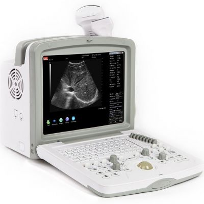 Acuvista RS880d 12"