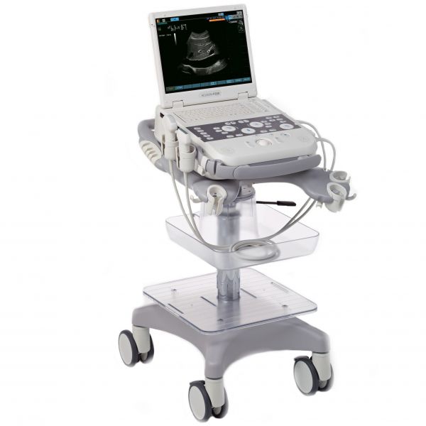 Siemens Acuson P300
