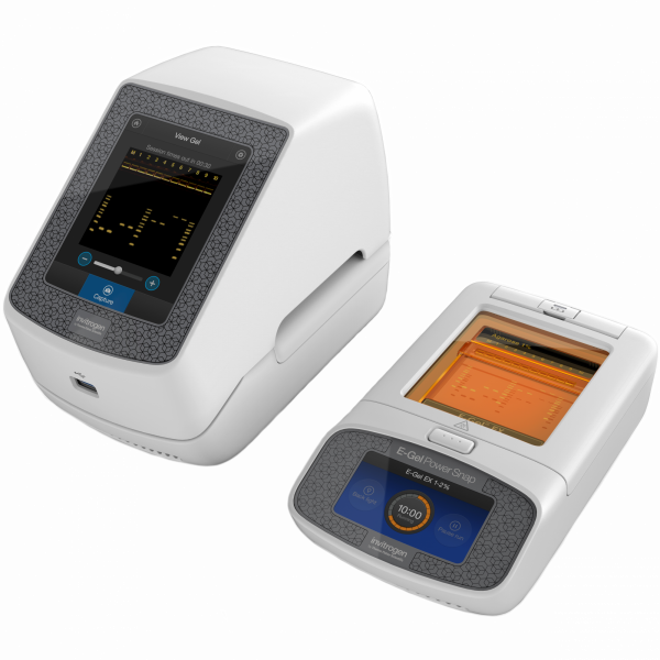 Thermo Fisher Scientific E-Gel Power Snap
